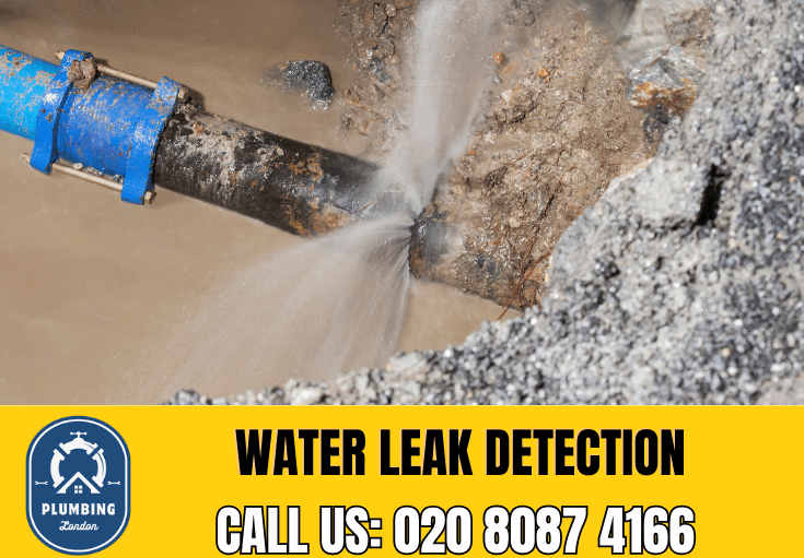 leak detection Hornsey